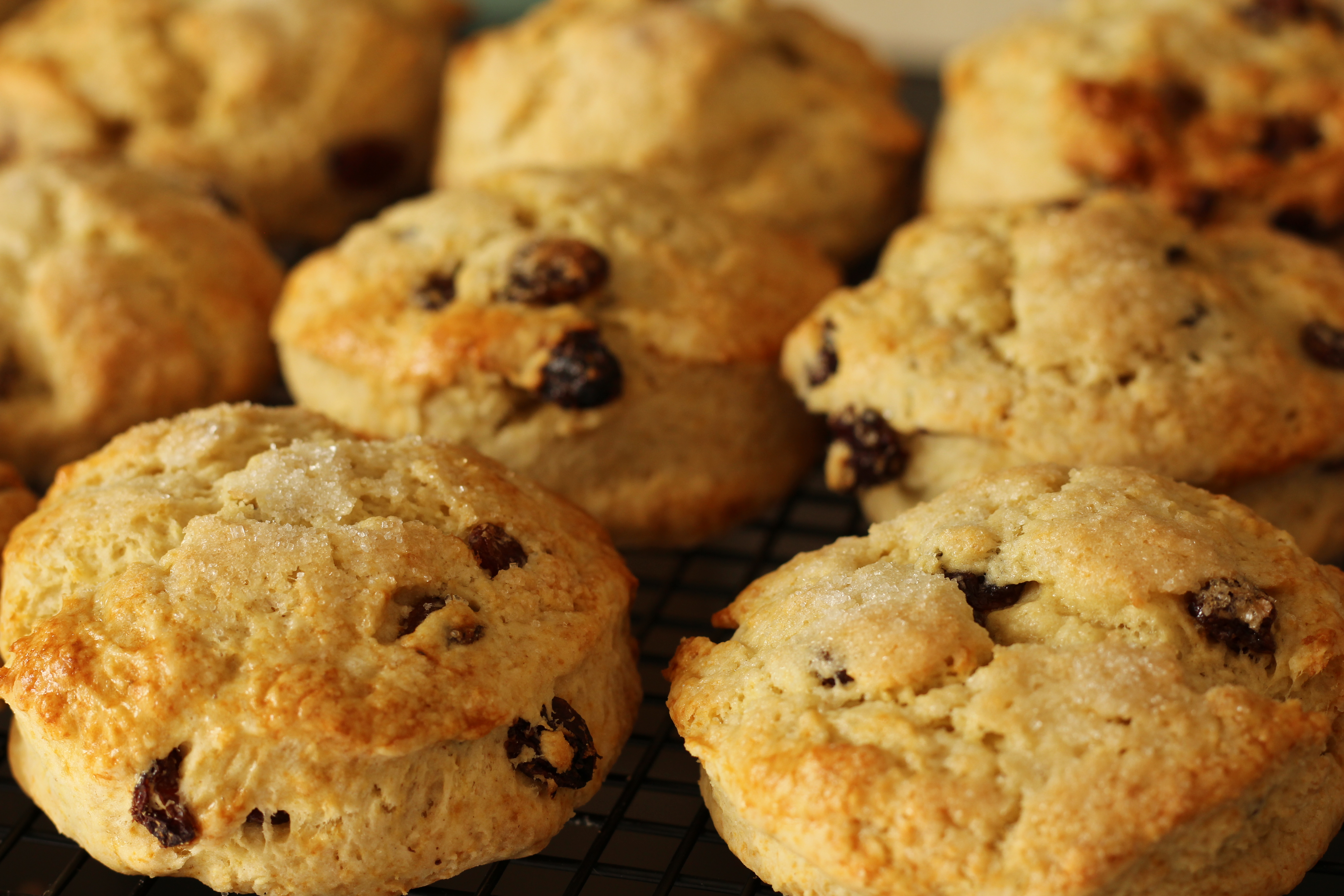 IMG_9904 fruit scone (1)