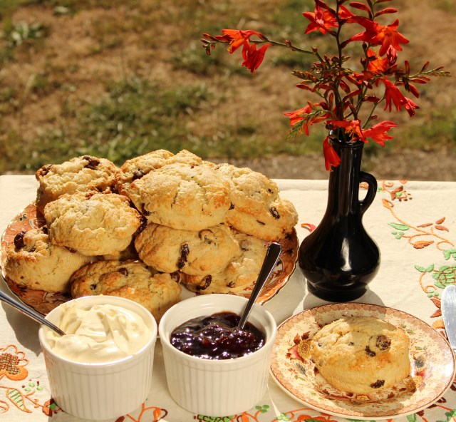IMG_9904 fruit scone (2)